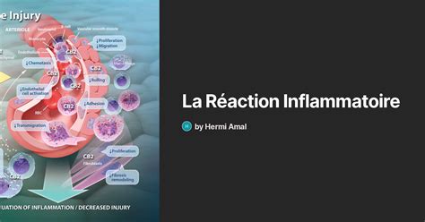 La R Action Inflammatoire