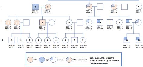 Figure From Phenotypic And Genetic Heterogeneity In A Thai