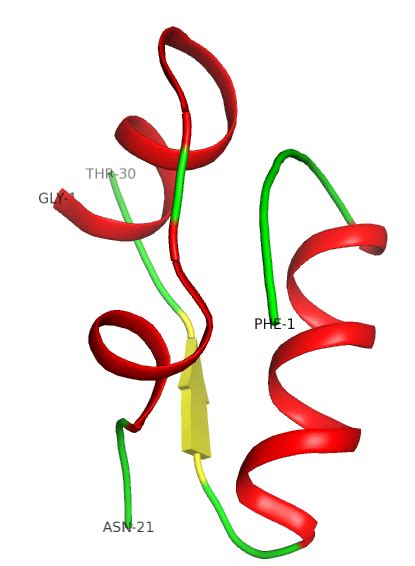 Tertiary Structure Of Insulin