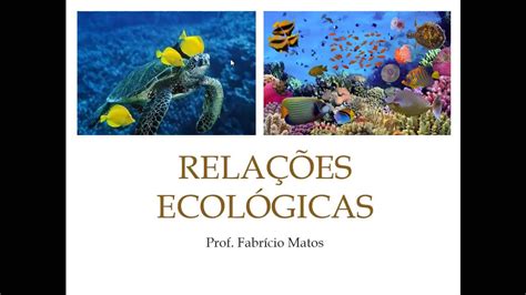 RelaÇÕes EcolÓgicas Intra E InterespecÍficas Youtube