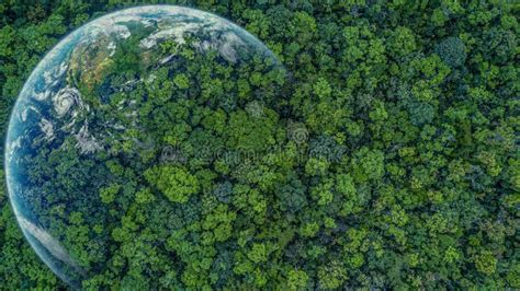 Vue A Rienne En Haut For T Verte Avec La Terre Plan Te Verte Dans Vos