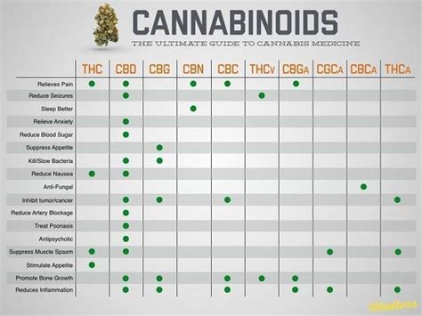 The Benefits Of Cannabinoids That You Need To Know Medicine How To Know Cbd Hemp Oil