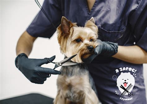 Logo for grooming salon / Логотип для груминг салона :: Behance
