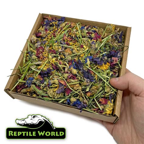 Reptile World Tortoise Forage Tray 70g Natural Treat For Tortoises Flowers Ebay