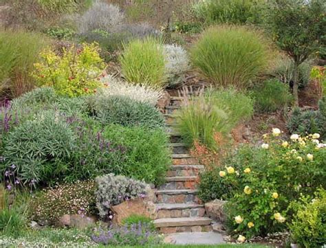 A Steep Hillside Is Turned Into A Lush Landscape - Derviss Design