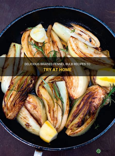 Delicious Braised Fennel Bulb Recipes To Try At Home | ShunCy