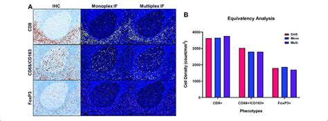 Quantitative Assessment Of Equivalence To Chromogenic IHC Staining