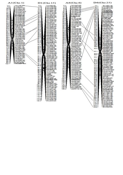 A Updated Genetic Map Of A1 D1 And A6 D6 Homoeologous Pairs Note