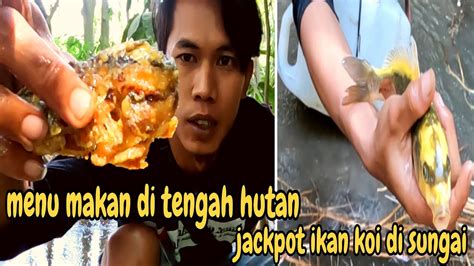 Berburu Ikan Di Sungai Dapat Ikan Koi Langsung Mukbang Di Tempat