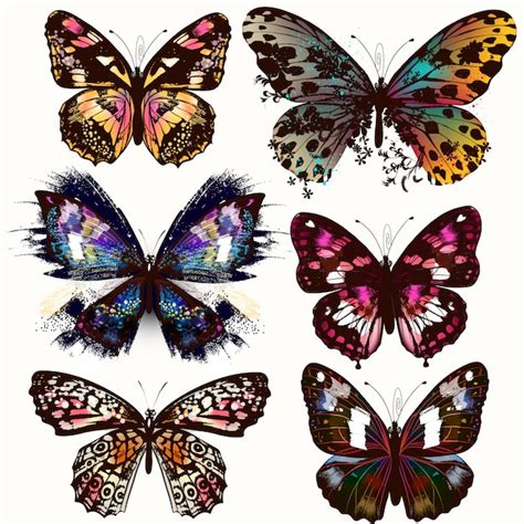 Premium Vector Butterfly Designs Collection