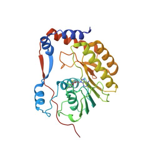 RCSB PDB 3EVB Crystal Structure Of Yellow Fever Virus