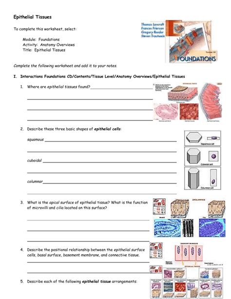 38 Chapter 3 Cells And Tissues Worksheet Answer Key Worksheet Master