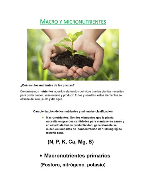 Macro Y Micronutrientes M Acro Y Micronutrientes Qu Son Los