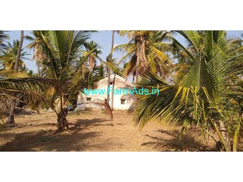 Acres Well Maintained Coconut Farm Land For Sale At Chiknayakanahalli