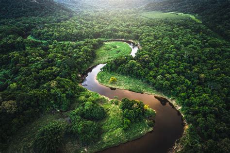 Why Is the Amazon Rainforest Important?