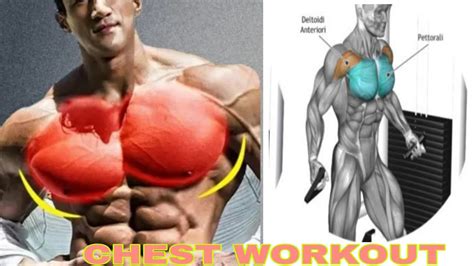 6 Best Chest Exercise The Perfect Chest Workout Body Fitness Youtube