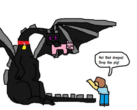 Image - Pet ender dragon.png - Minecraft Fanfictions Wiki