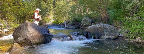 North Fork Salmon River Idaho Fly Fishing Waters