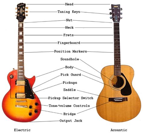 Guitar Anatomy What Are The Main Parts Of The Guitar