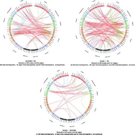 Connectograms Show Altered Functional Connections Among Sivcind Download Scientific Diagram