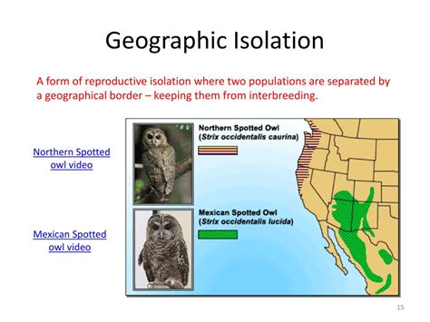 Reproductive Isolation 