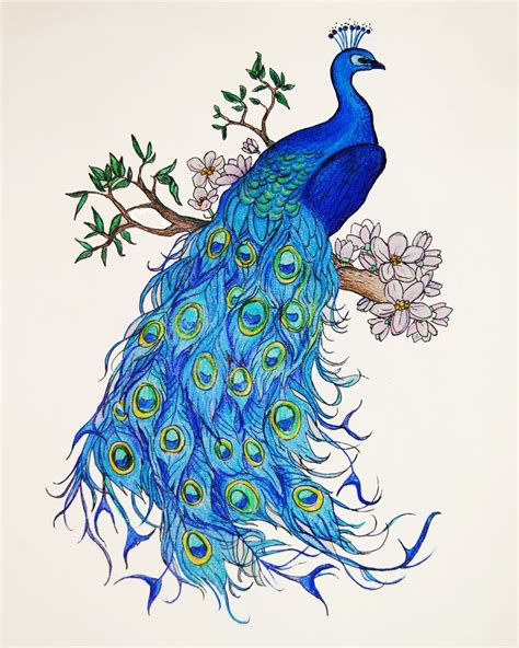 Pin By Anastasia Poling Miller On Pretty Peacock Peacock Art Peacock