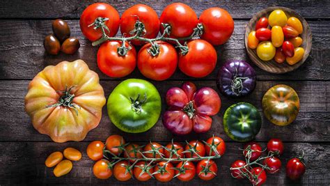 Quand Planter Les Semis De Tomates Maison Plus