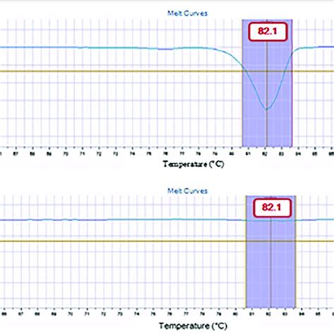 Workflow For The Foetal Sex Determination By The Plexor Hy Assay On