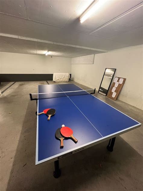 Ping Pong Tisch Kaufen Auf Ricardo