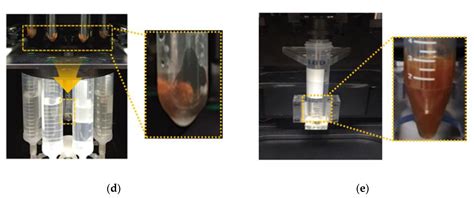 Sensors Free Full Text Detection Of Escherichia Coli O H Using