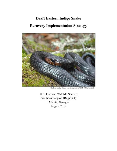 Eastern Indigo Snake Conservation U S Fish Wildlife Service