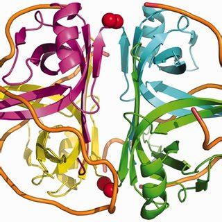 Crystal Structure Of The Ob Domain Tetramer Of E Coli Ssb In Complex