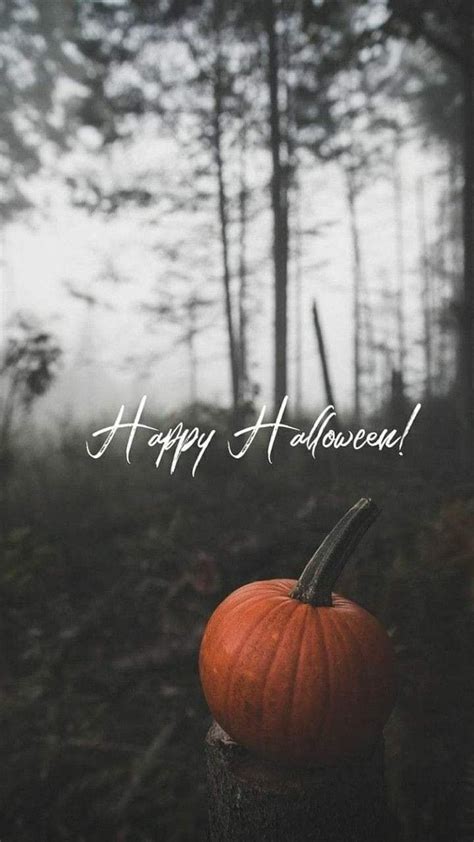 An Orange Pumpkin Sitting On Top Of A Stump In The Woods With Happy