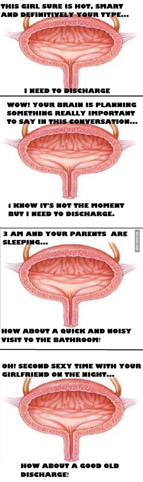 Scumbag Bladder Is Scumbag 9GAG