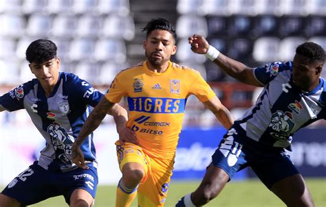 Tigres Vs Pachuca Horario Y D Nde Ver Los Cuartos De Final De Ida