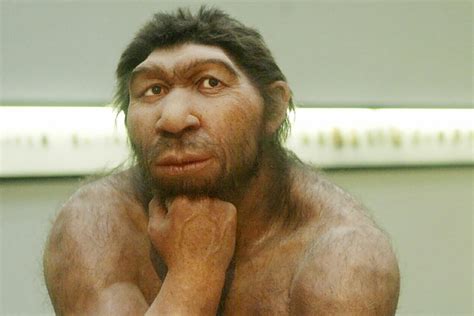 Neanderthal brains were the same size as early humans