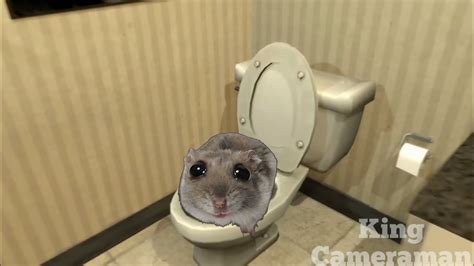 Sad Hamster Becomes Skibidi Toilet Youtube