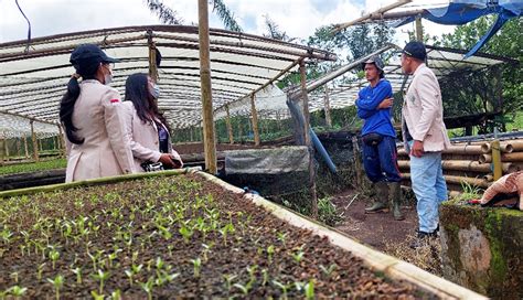 Nusabali Menengok Potensi Desa Pukuh Yang Berbasis Perkebunan