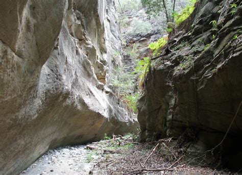 Goin Feral One Day At A Time Carnarvon Gorge Battleship Spur Walk