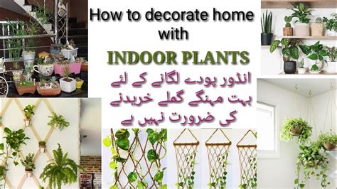 How To Decorate Home With Indoor Plants Youtube