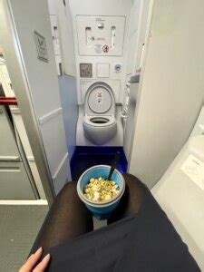 The Anatomy of An Airplane Bathroom (And How To Use It ...