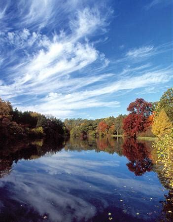 Morton Arboretum