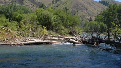 Naches River Guided Trips | Ellensburg Angler