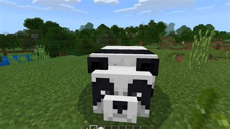 Can You Tame A Panda In Minecraft? - Gamer Tweak