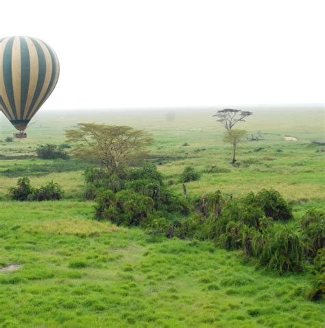 Los Mejores Circuitos Por Tanzania Tourradar