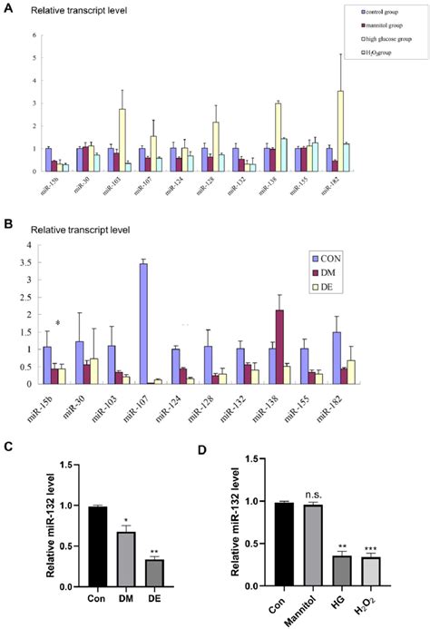 Low Mir 132 Expression In De Rat Hippocampal Tissues And Injured Ht 22