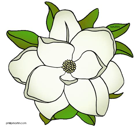 Free Magnolia Clipart Black And White, Download Free Magnolia Clipart ...