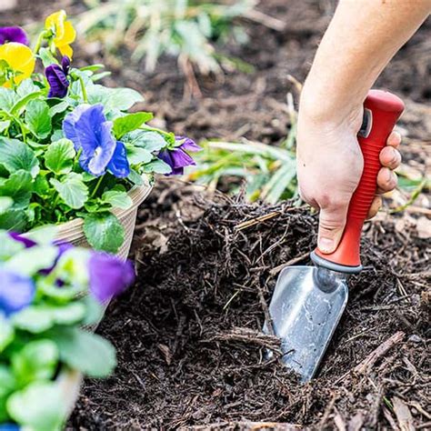 Garden Trowels Fasci Garden