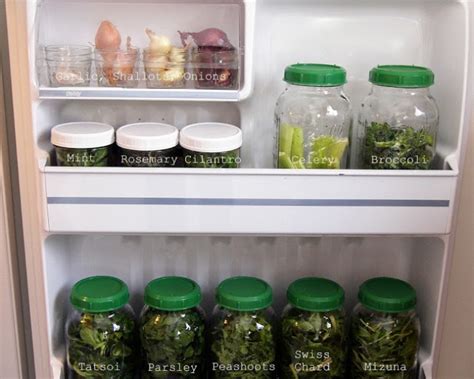 Geniales Consejos Para Organizar Y Limpiar Tu Refrigerador