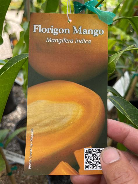 Shop — Vườn Trái Cây Florida
